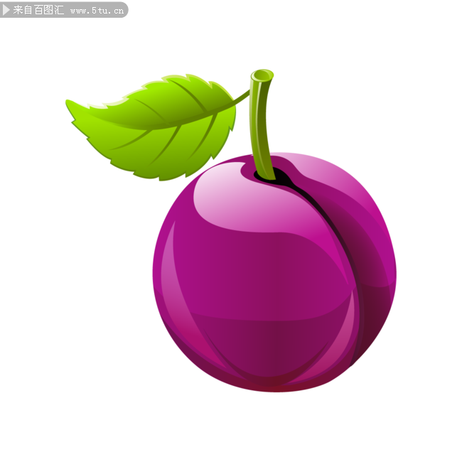 Plum.png