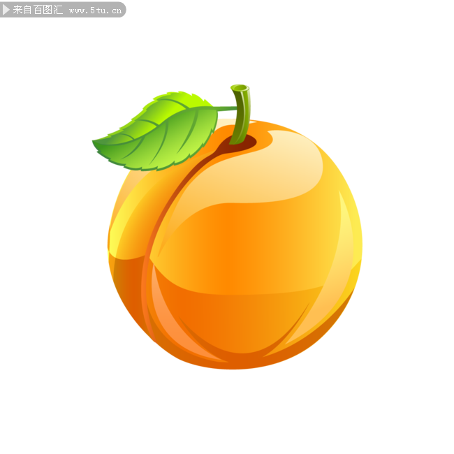 Yellow peach.png