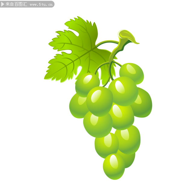 Grape2.png