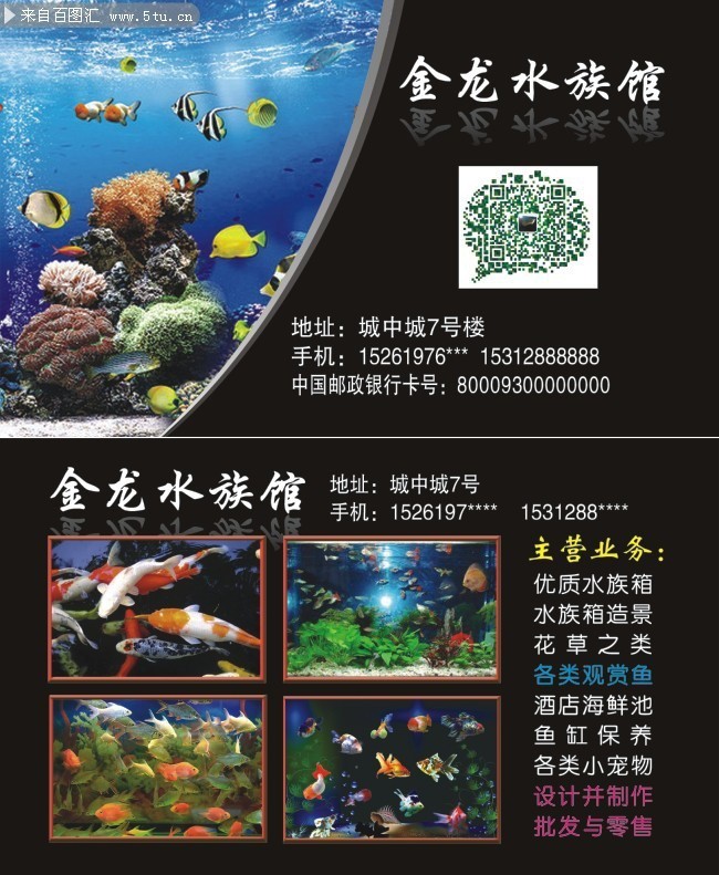 水族馆名片模板