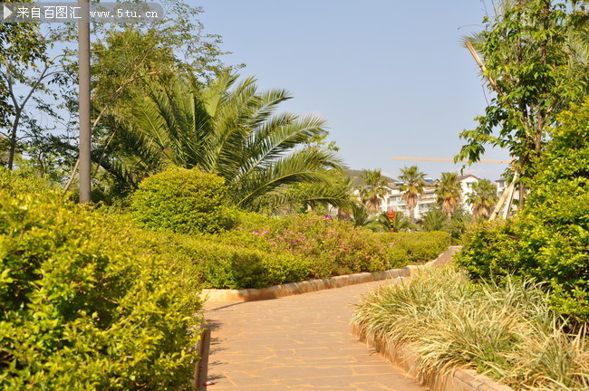 DSC_01.JPG