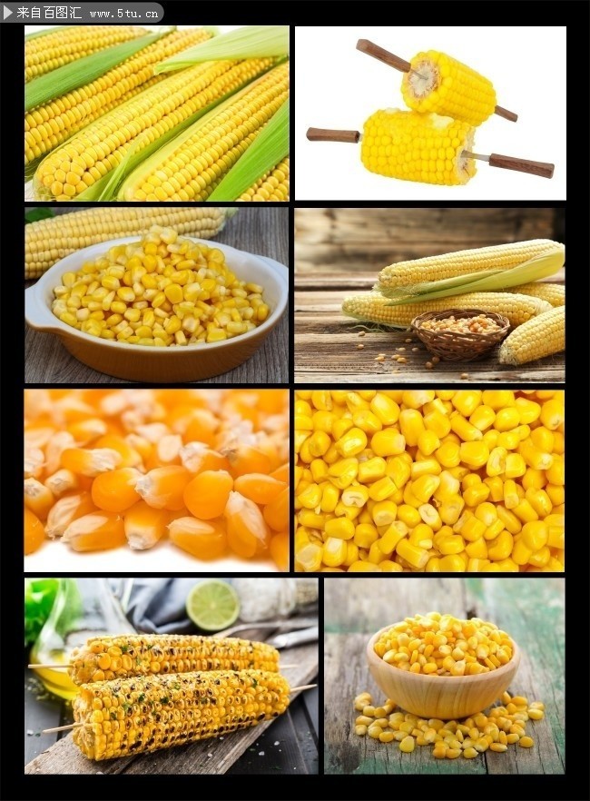 玉米_fl.jpg