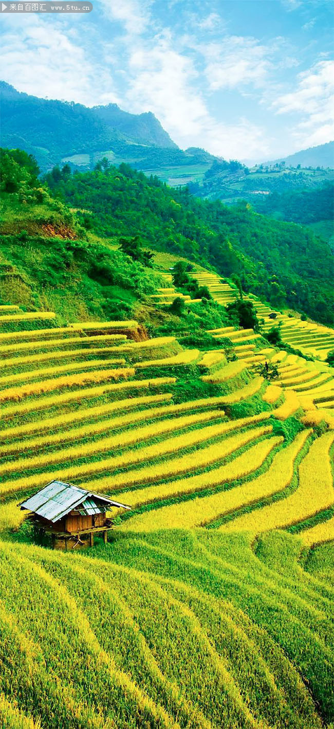 秋天梯田风景高清图片素材