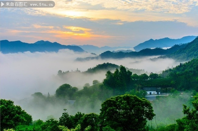 云雾缠绕乡村晨景图片