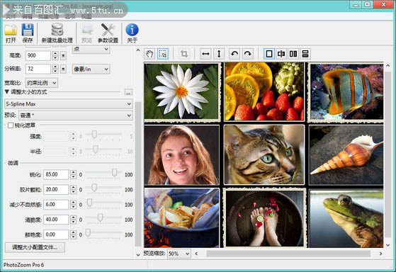 圖片無損放大軟件-photozoom pro v6.0綠色單文件版