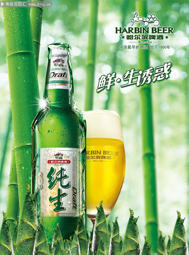 哈尔滨纯生啤酒海报psd素材