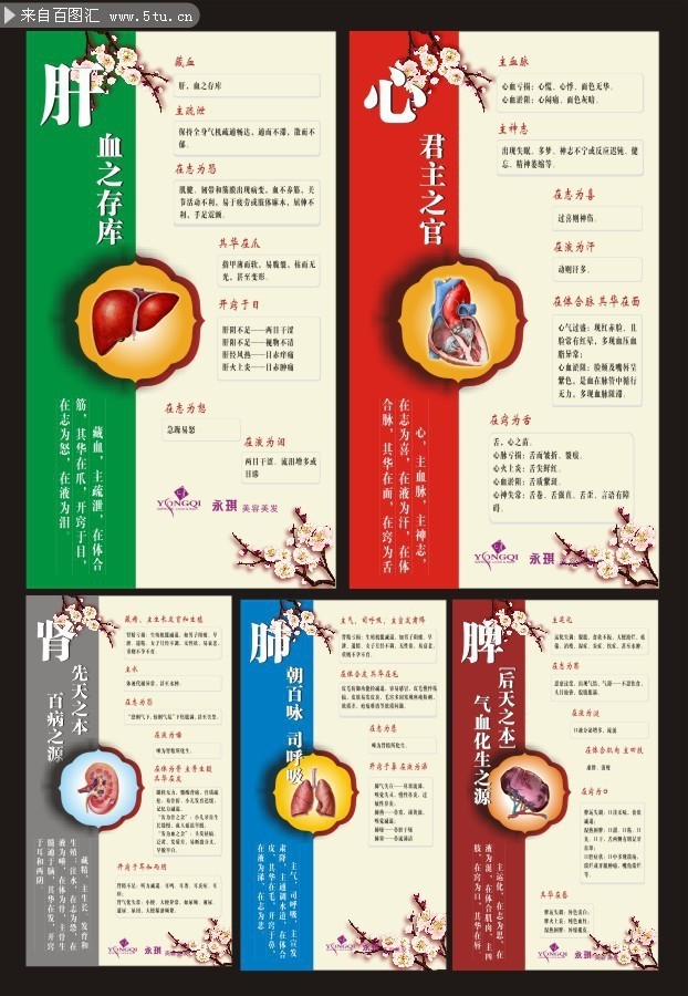 五行图图片