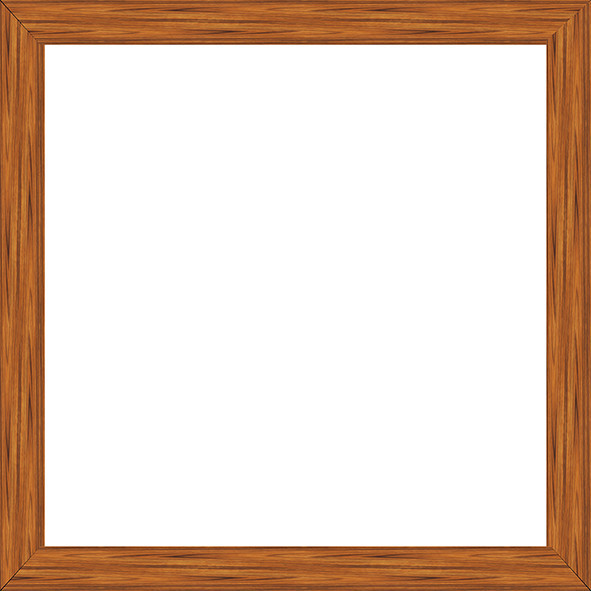 矢量木纹相框cdrx4