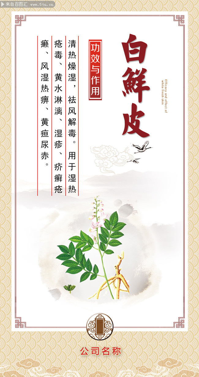 中草药知识展板图片素材