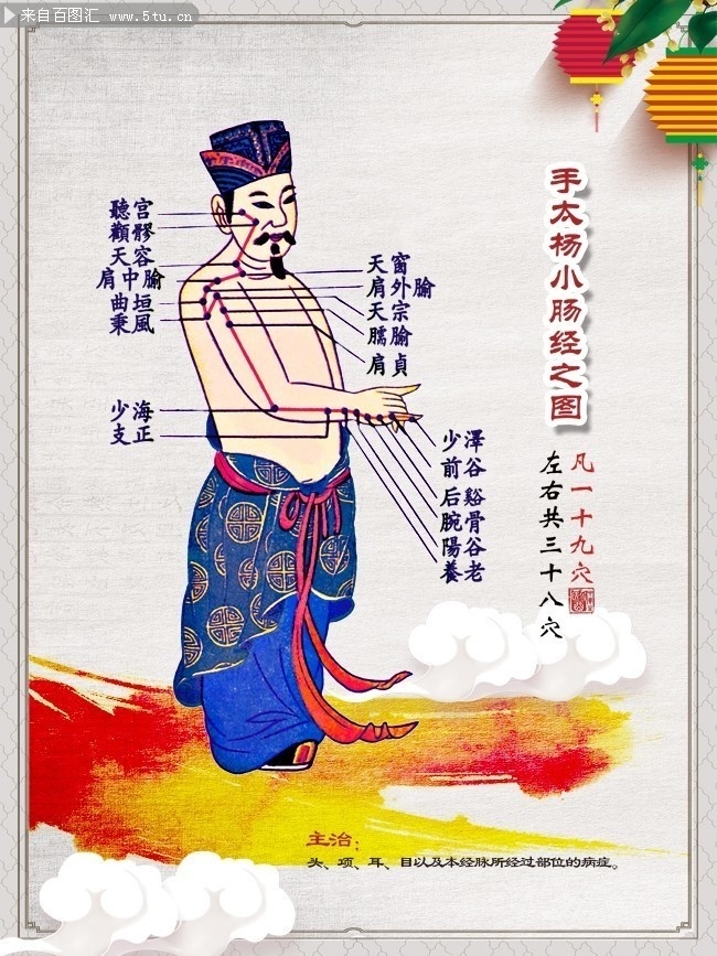 手太阳小肠经图人体穴位图图片