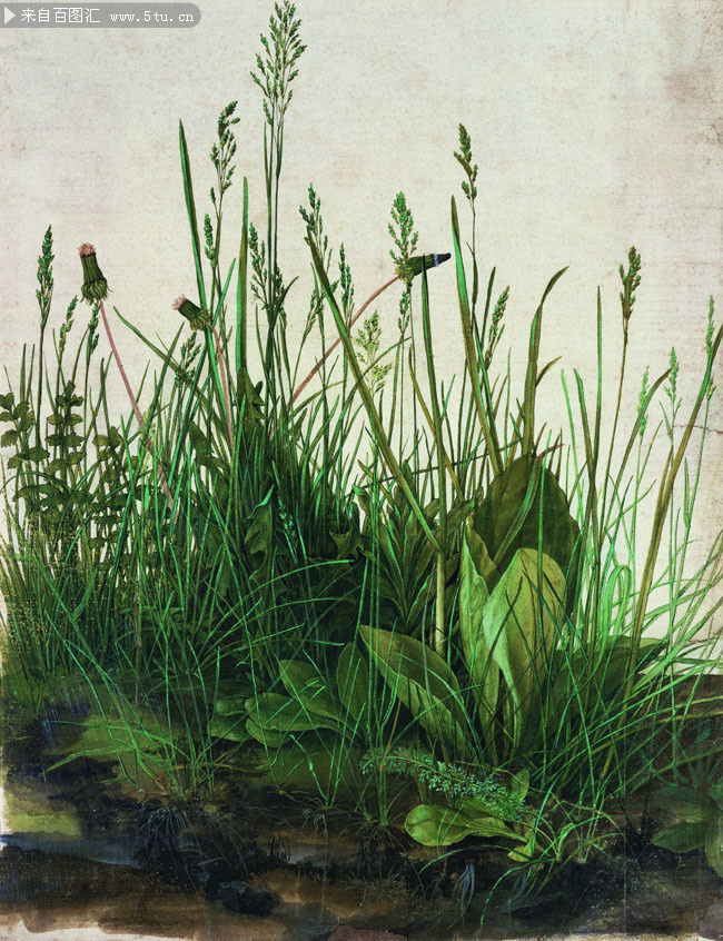 德国 丢勒 大片草地 风景油画