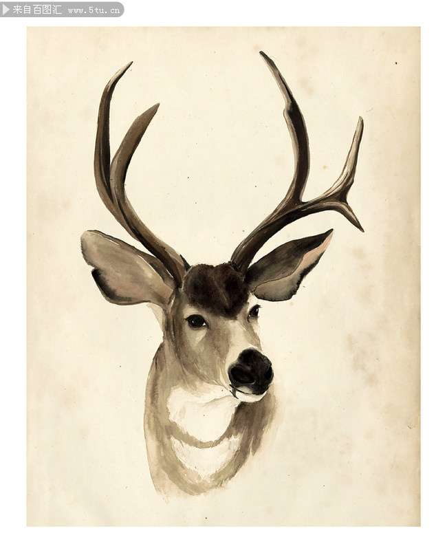发财鹿无框画图片素材