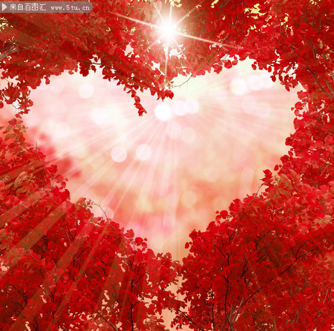 唯美爱心枫叶背景图片