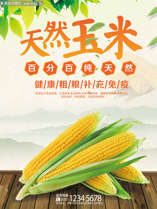 水果玉米宣传海报图片
