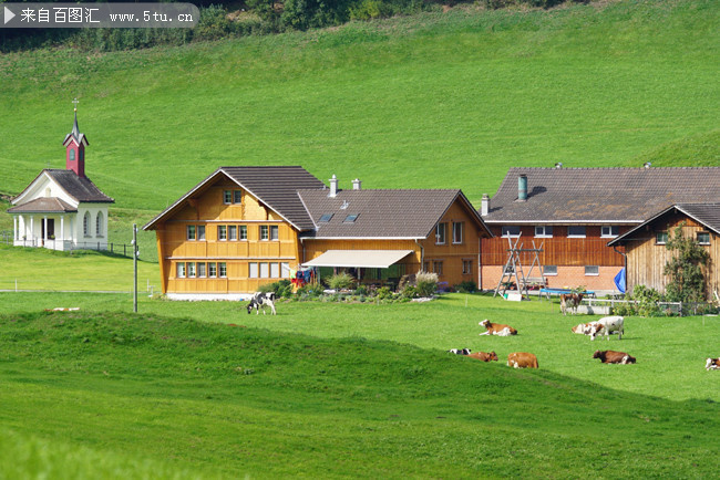 牧场上的房子高清图片素材
