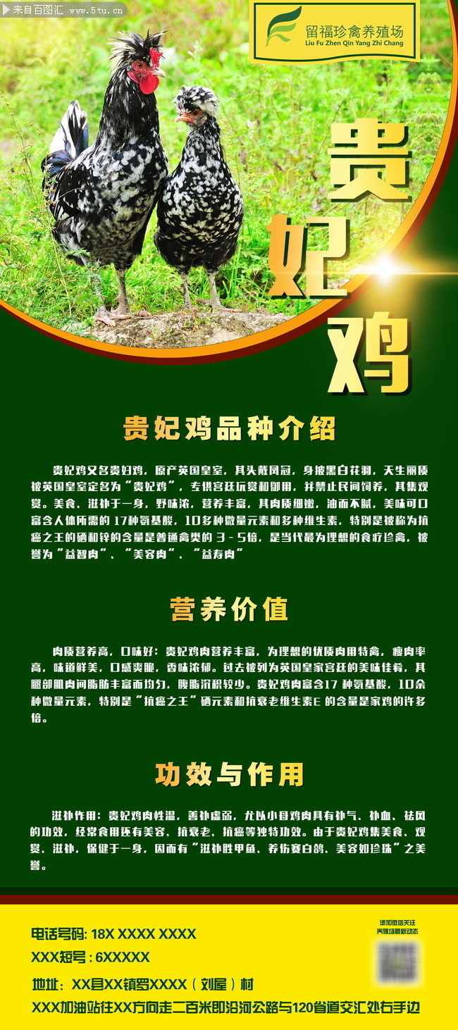 贵妃鸡养殖场x展架设计
