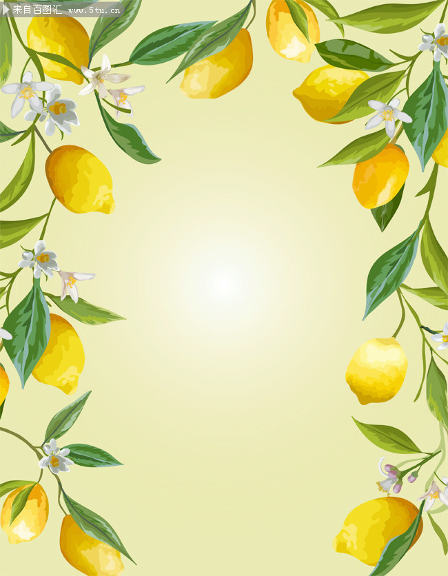 手绘柠檬水果边框背景素材