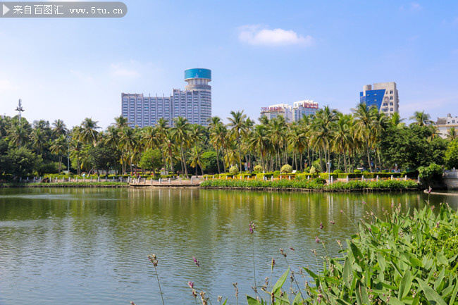 海口公園景觀高清攝影圖