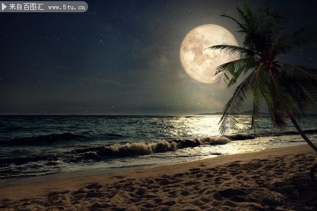 月光下沙滩风景图片
