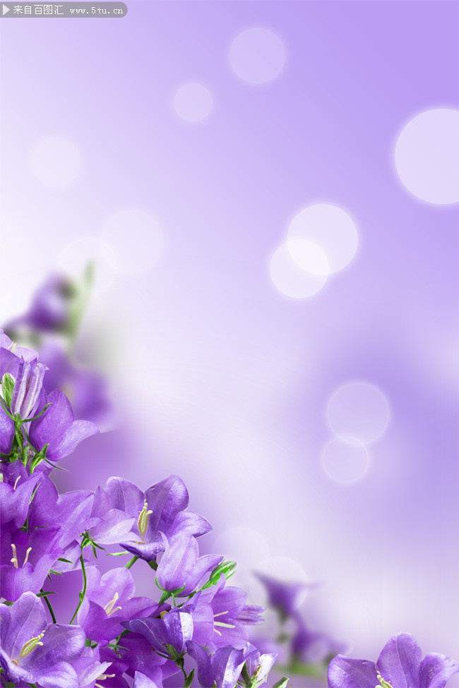 春天紫色花朵背景素材-psd素材-百图汇设计素材
