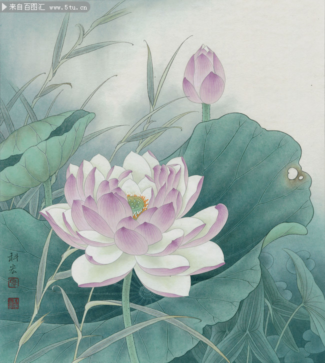 紫莲飘香晨风里重彩工笔画