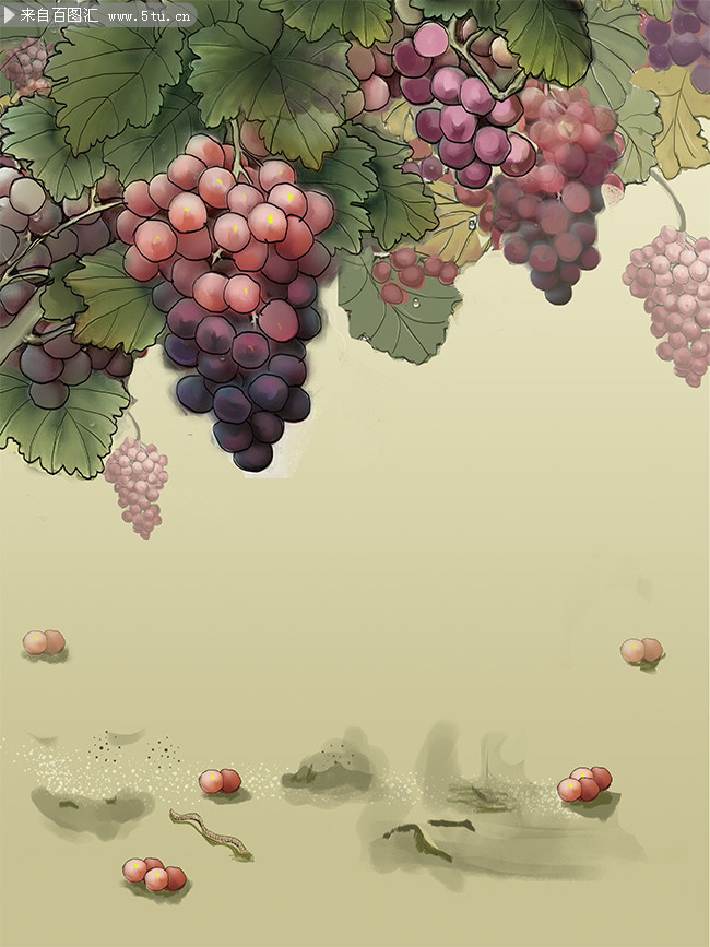 手绘葡萄水果海报背景-psd素材-百图汇设计素材