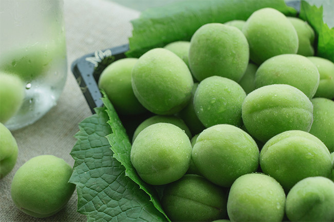 青梅水果高清图片