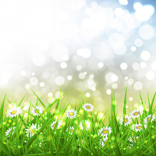 唯美手绘邹菊花草地光斑背景图片