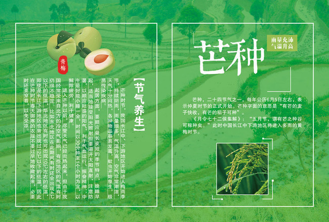 芒种二十四节气海报