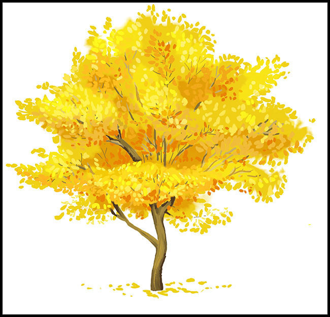 卡通秋天的树图片