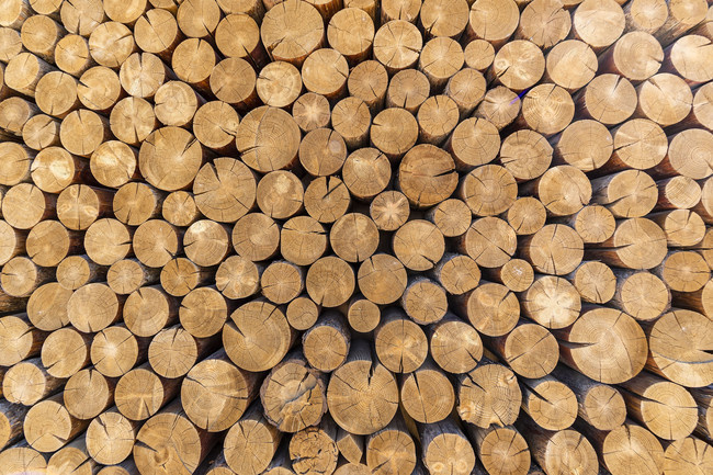 圆木头背景素材下载