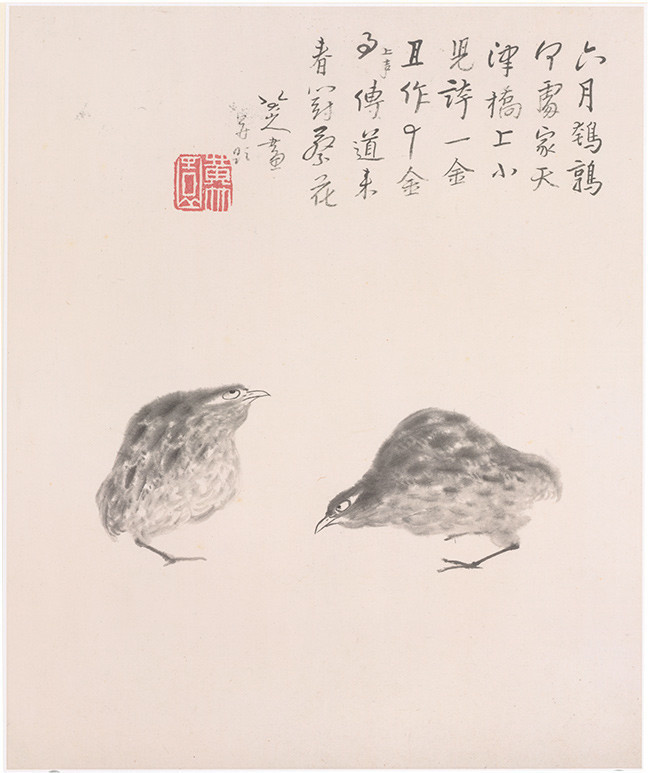 写意水墨画鹌鹑图片