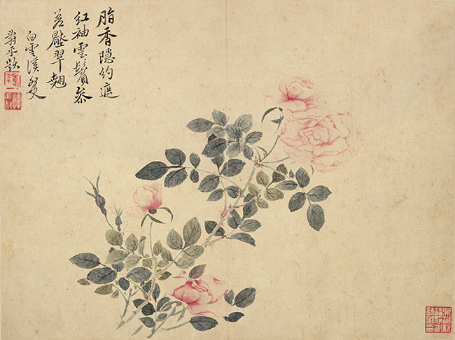 恽寿平月季工笔画