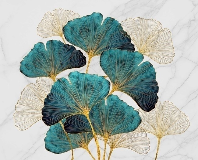 手绘银杏叶图片